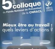 Rapport "Pour une prévention durable des RPS" Sciences Po Bordeaux 2013